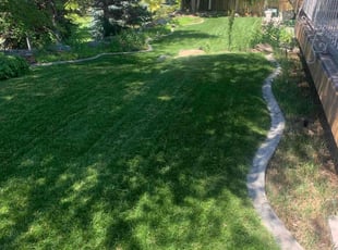 Karina L.'s lawn care services service result