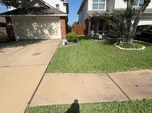 Mike S.'s grass maintenance service result