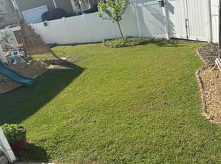 Ron S.'s lawn service service result