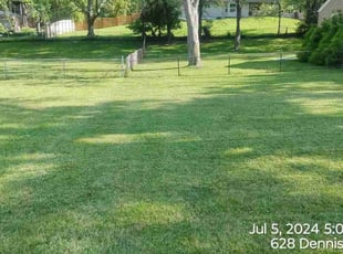 Dana S.'s grass maintenance service result