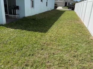 Aj S.'s lawn care service result