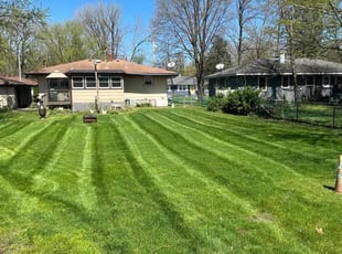 Marty K.'s grass cutting service result