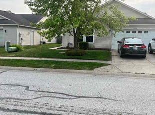 Peg B.'s grass maintenance service result