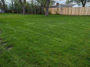 Carol K.'s lawn care services service result
