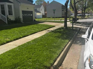 Diana U.'s turf maintenance service result