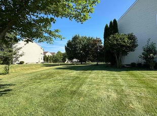 Michael S.'s lawn care service result