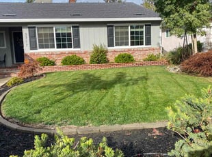 Beverly J.'s grass cutting service result