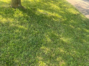 Ronald W.'s lawn service service result