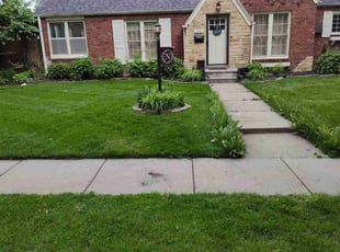 Ronnie S.'s lawn maintenance service result