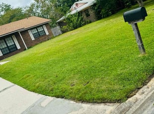 Shannon W.'s lawn maintenance service result