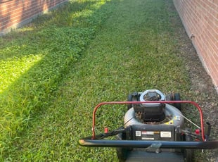 Lin E.'s lawn care services service result