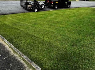 Cole A.'s lawn service service result