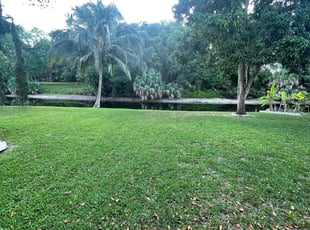 Jonathan T.'s grass cutting service result
