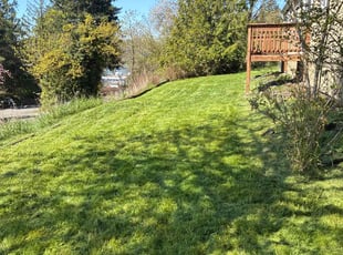 Grey H.'s lawn service service result