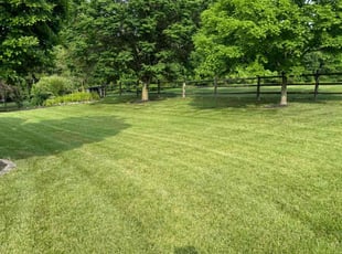 Gary R.'s turf maintenance service result
