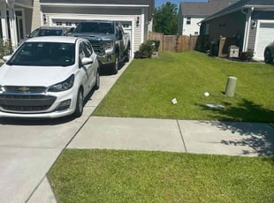 Claudia S.'s turf care service result