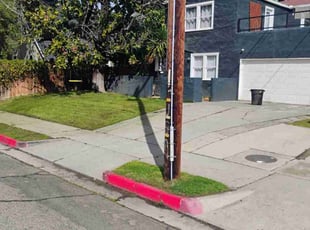 Jack B.'s lawn service service result