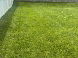 Yolanda J.'s grass cutting service result