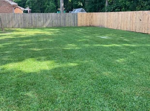 Jon W.'s grass maintenance service result