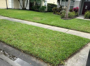 Helga G.'s turf maintenance service result