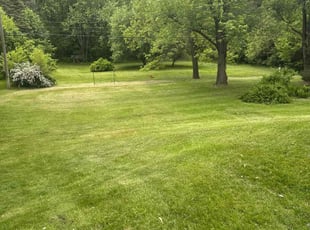 Alyssa J.'s lawn care service result