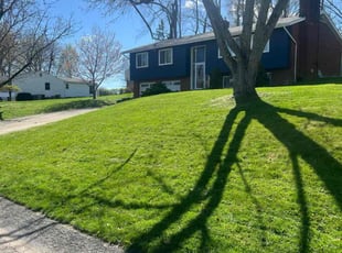 Kylie S.'s grass maintenance service result