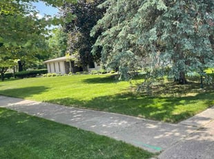 Hebbah S.'s lawn care service result
