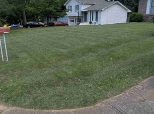 Gabriel R.'s lawn care services service result