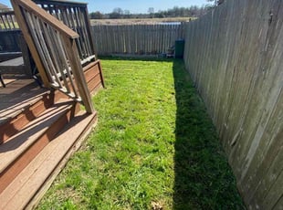 Kiki O.'s lawn service service result
