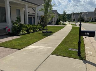 Jackie B.'s grass maintenance service result