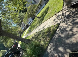 Mike M.'s lawn care service result