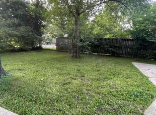Aaron G.'s Leaf Removal service result