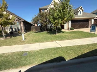 Mark B.'s Long Grass Cleanup service result