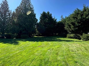Kenneth R.'s grass cutting service result