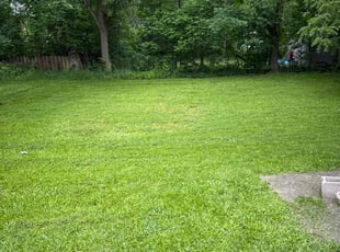 Laura R.'s turf maintenance service result