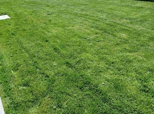 John C.'s lawn care services service result