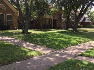 Dwight S.'s lawn maintenance service result