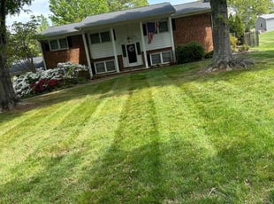 Omar O.'s turf maintenance service result