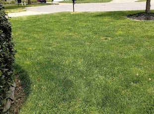 Marty O.'s lawn service service result