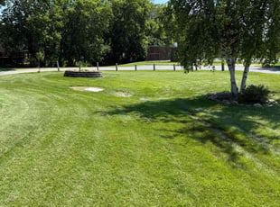 Irtiza S.'s lawn maintenance service result