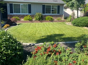 Samuel B.'s turf care service result