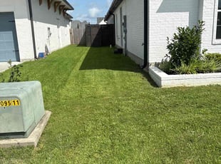 Estrella G.'s lawn care services service result