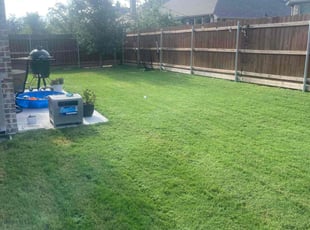 Erica Y.'s turf care service result