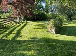Casey D.'s turf maintenance service result