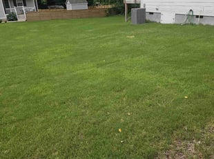 Yuri L.'s gardening service service result