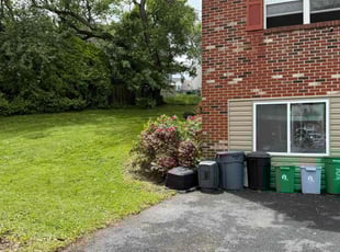 Lou C.'s grass maintenance service result