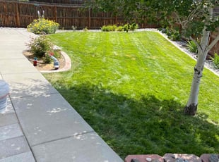 Valerie A.'s turf maintenance service result