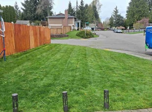 Christine G.'s turf care service result