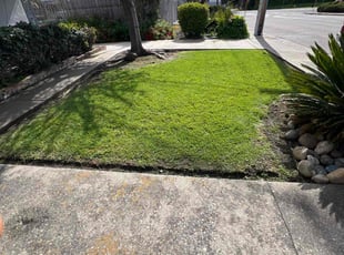 Jennifer C.'s grass maintenance service result