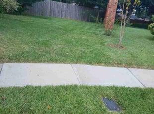 Cheryl W.'s lawn maintenance service result